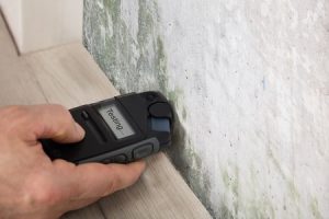 How to Test for Mold