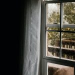 How to Prevent Summer Mold Growth